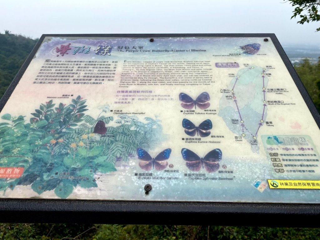 🌈林內-龍過脈森林步道+網美景點舊庄驛站~林內美食之旅🌈_2681049
