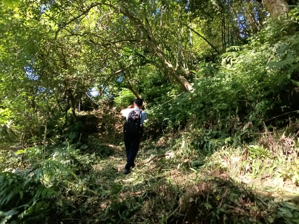 雙溪區內盤山坑古道+石硿子越嶺古道+盤山坑古道+過火坪古道O型_2914363