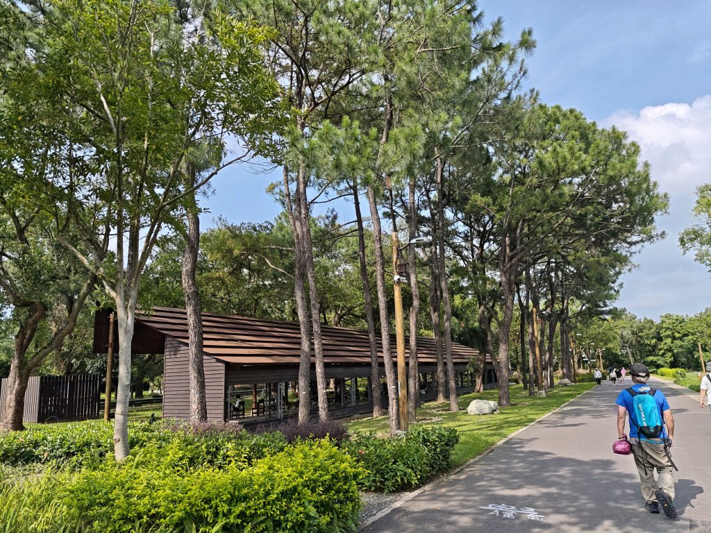 [霄裡好風光，運動樂悠遊！-6/10] 2025_0608 大湳森林公園_2808209