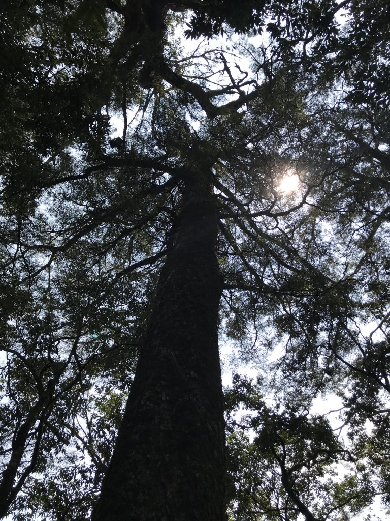 霞喀羅大山,佐藤山順訪佐藤駐在所_1324657