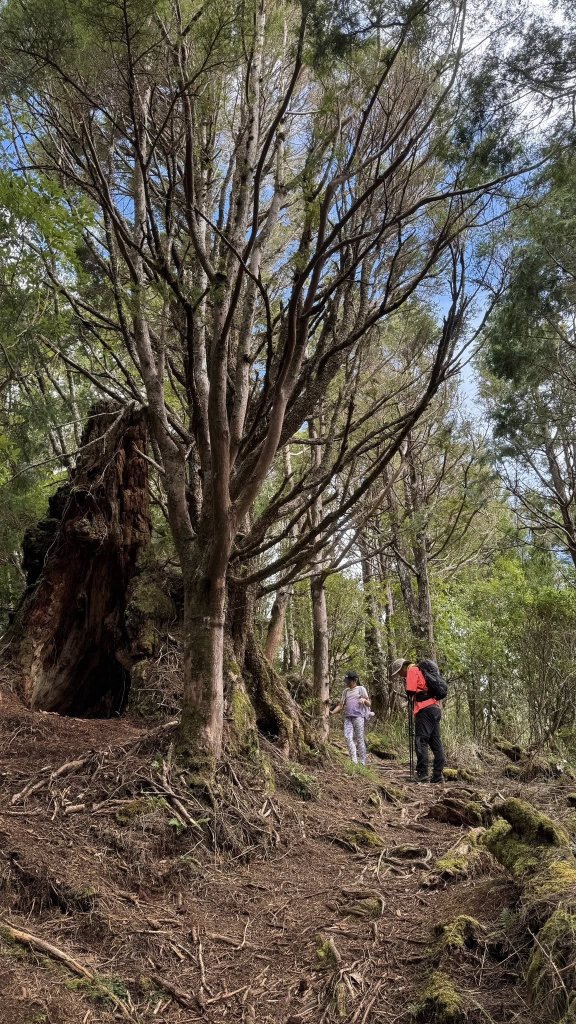 20250913小百岳三星山_2885209