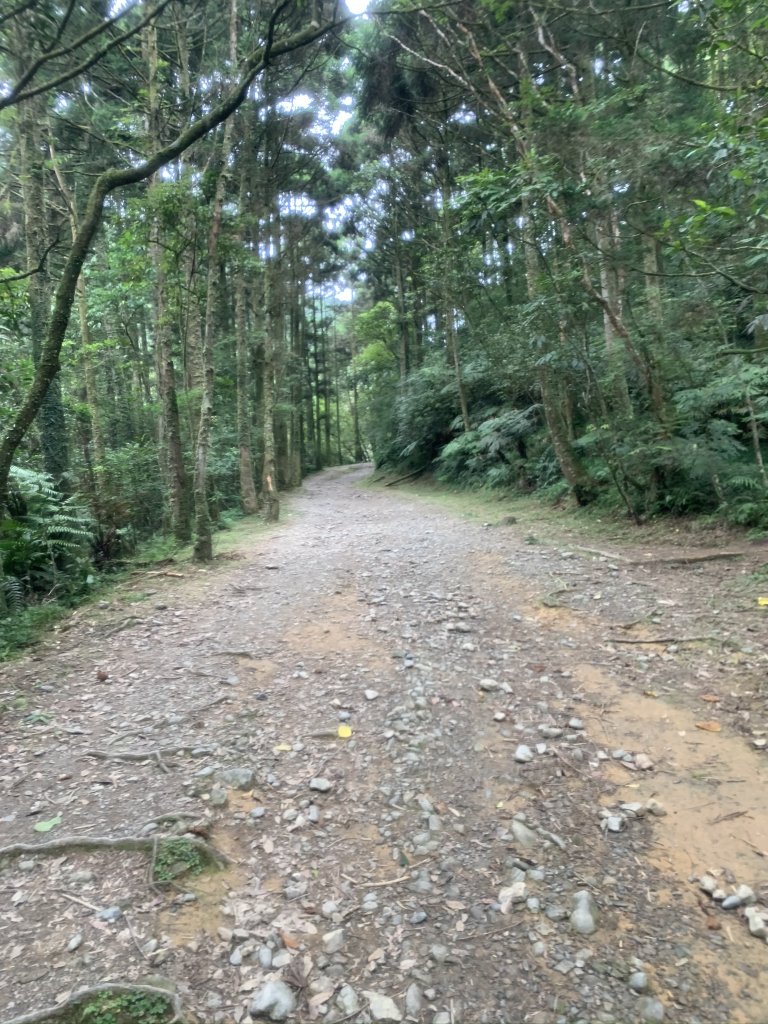 坪溪古道+太和山連走_1048913