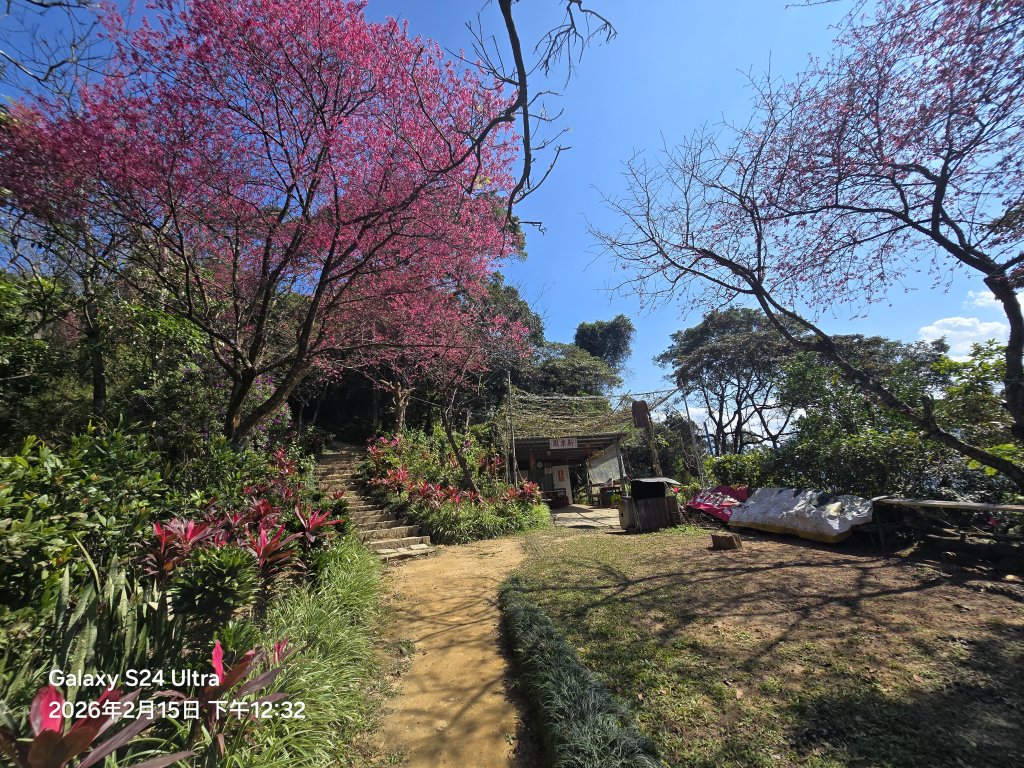 2026-02-15微笑山線：【天上山系】烘爐地土地公段封面圖