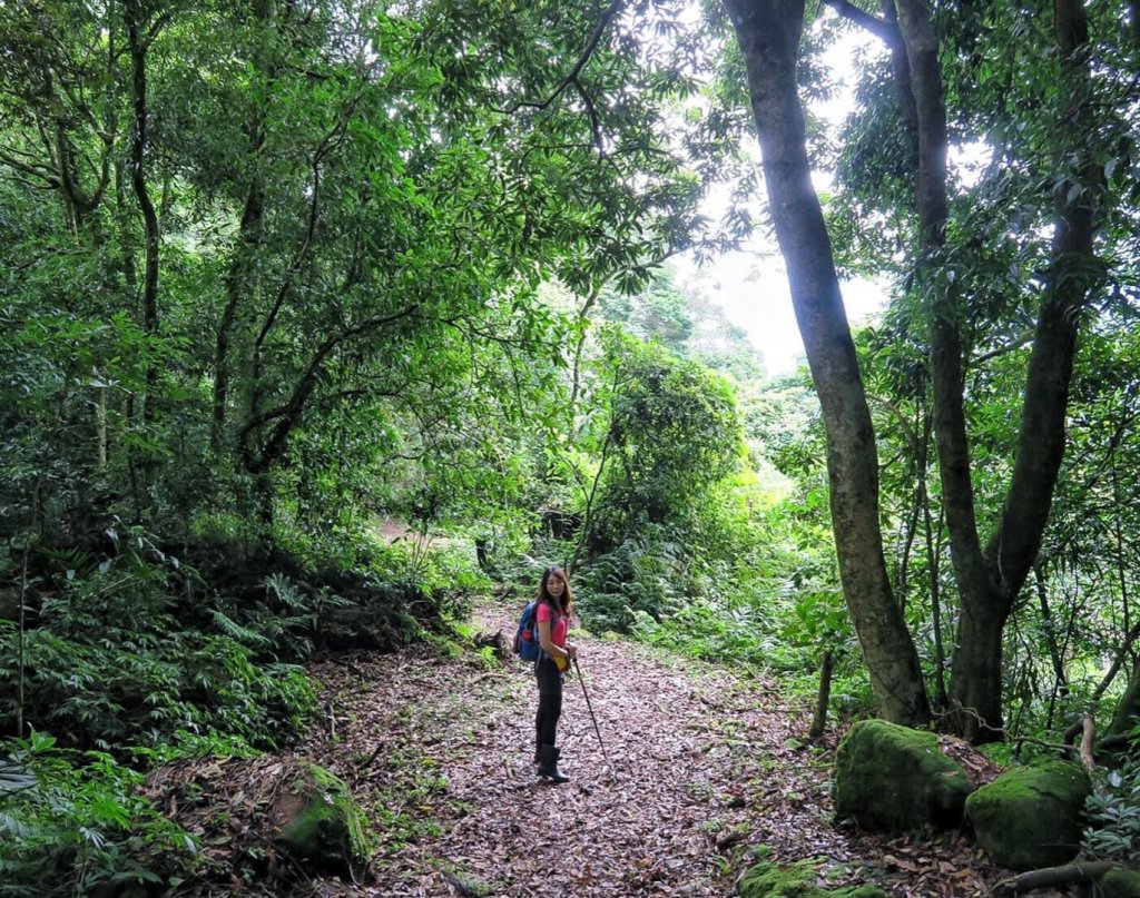 小百岳#37～馬那邦山 _976638