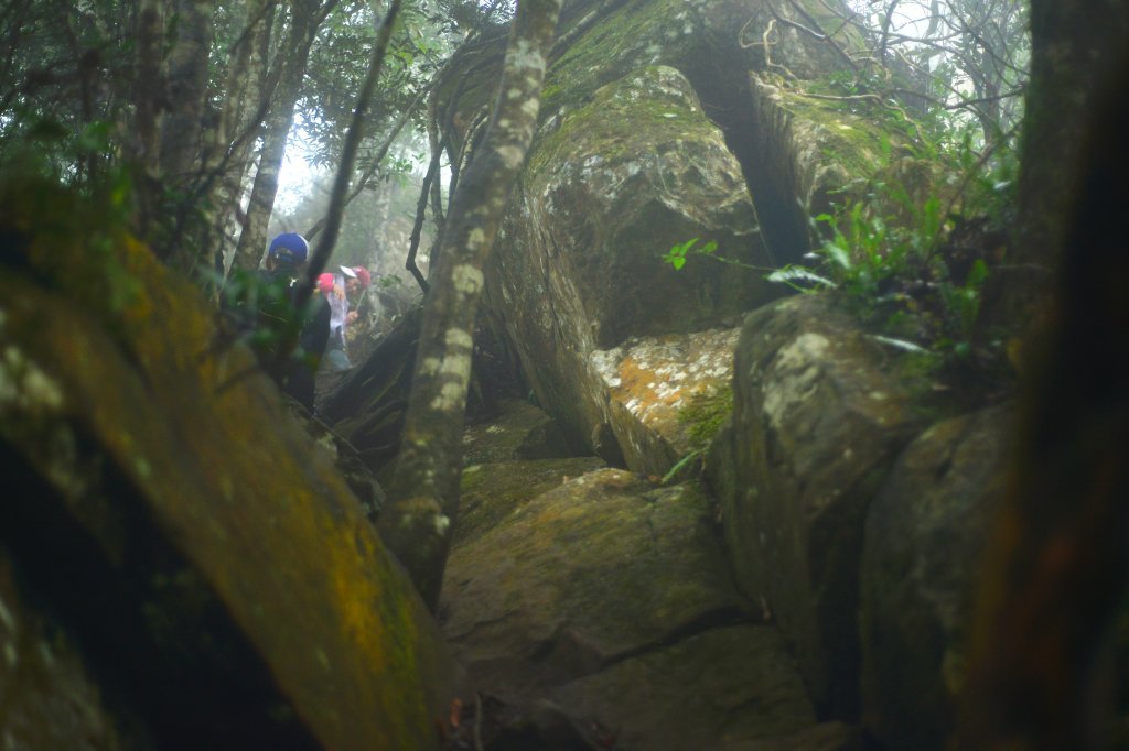 向天湖山步道 (大 O：含三角湖山、光天高山)_2664941