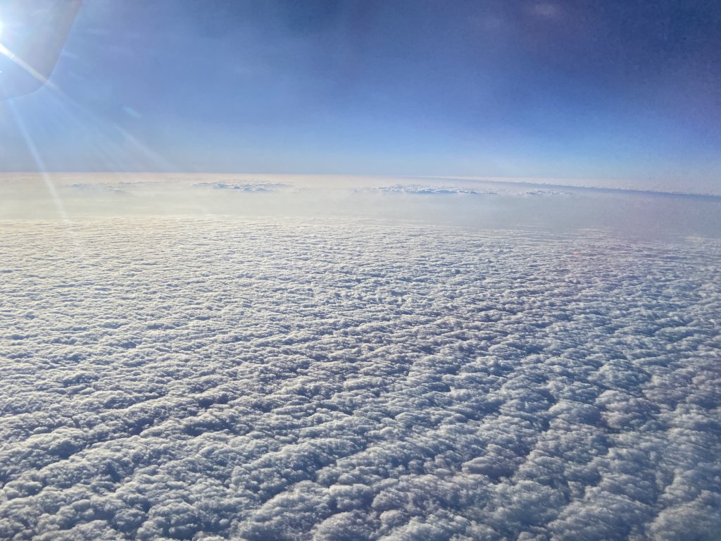 北海道------雪祭_3001899