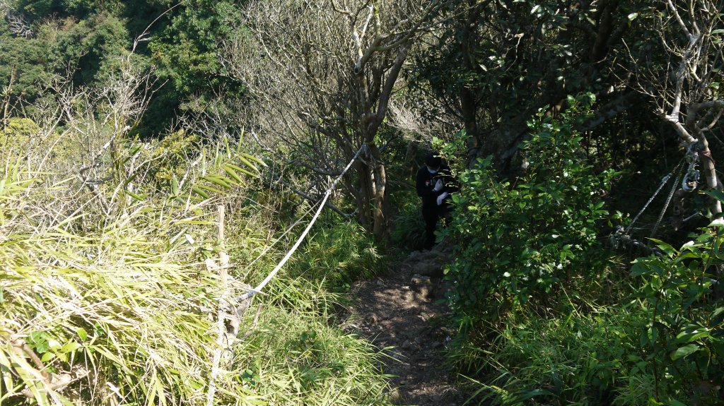 觀音山登山健行趣(小百岳05號)_1632419
