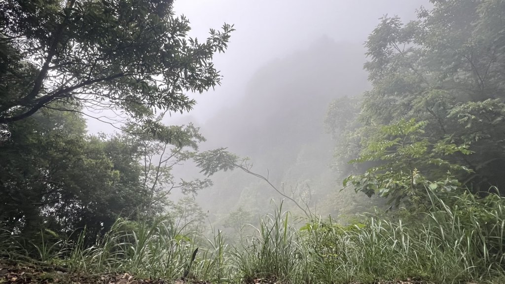大板根+北坑山+東洗水山_2551681