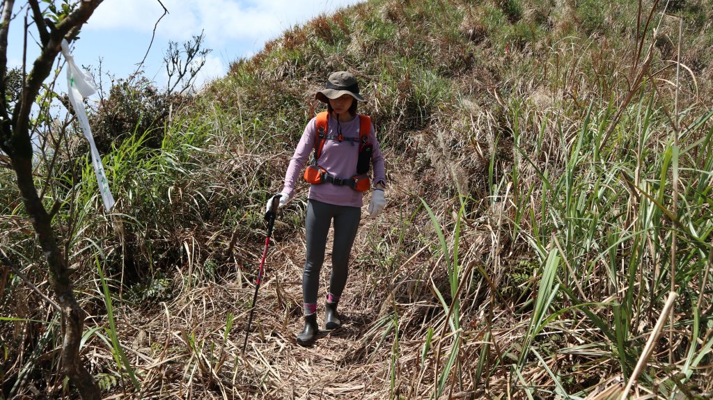 鶯子嶺山登山健行趣(效山)_2070495