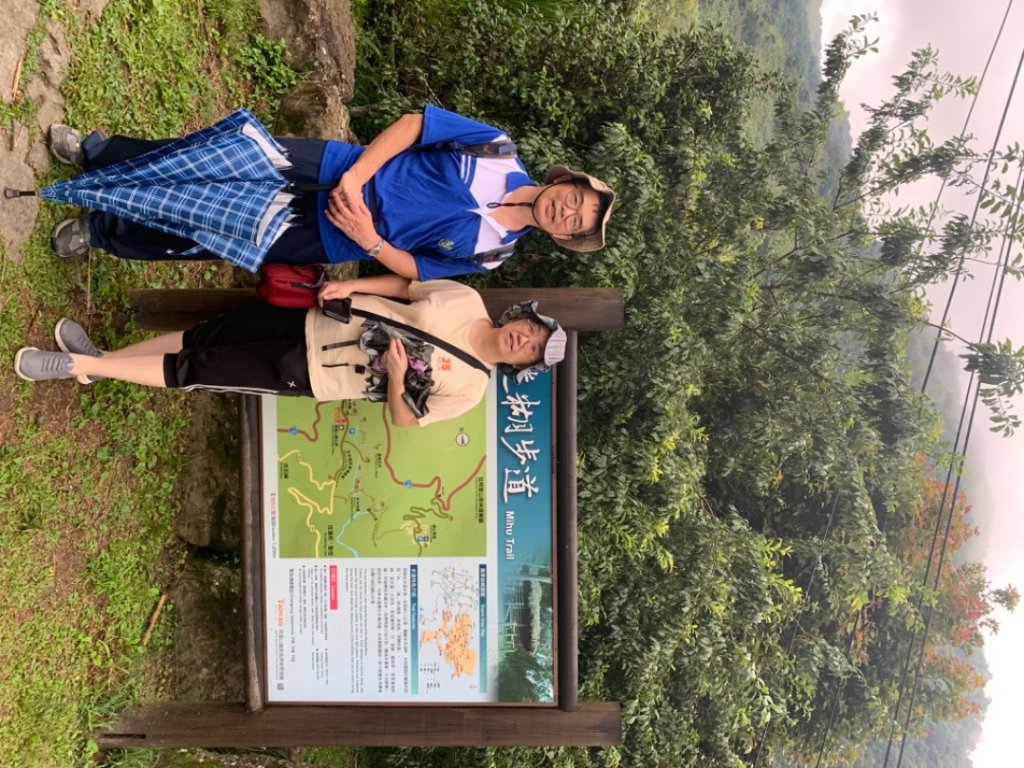 阿里山迷糊步道_1029020