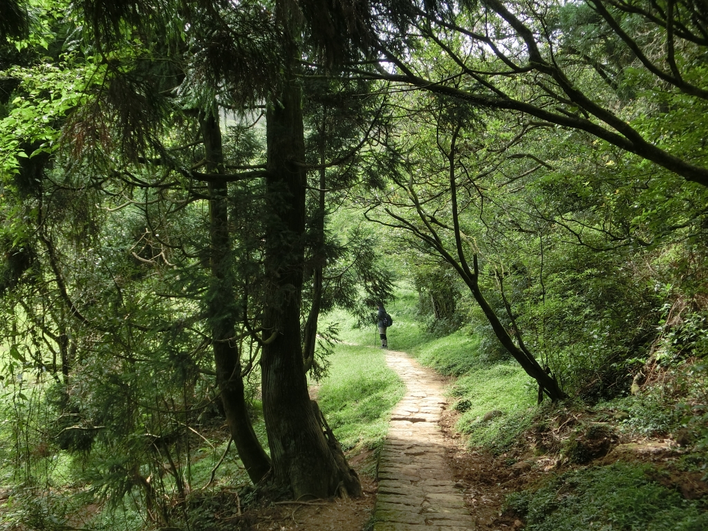 風櫃嘴．頂山．石梯嶺．擎天崗_94357