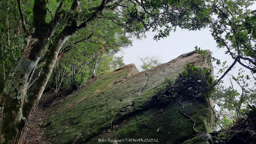 《雲林》望好望角｜石壁山嘉南雲峰步道(中側登山口）20250607封面圖