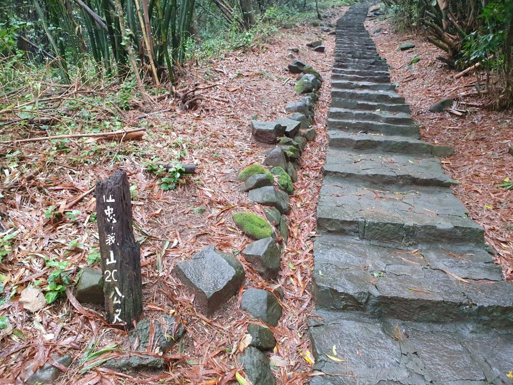 臺北大縱走第一段加碼版，忠義山，向天山，面天山，永春寮環狀步道，四季長廊觀景台，鳳梨宅，大屯自然公園_1655666