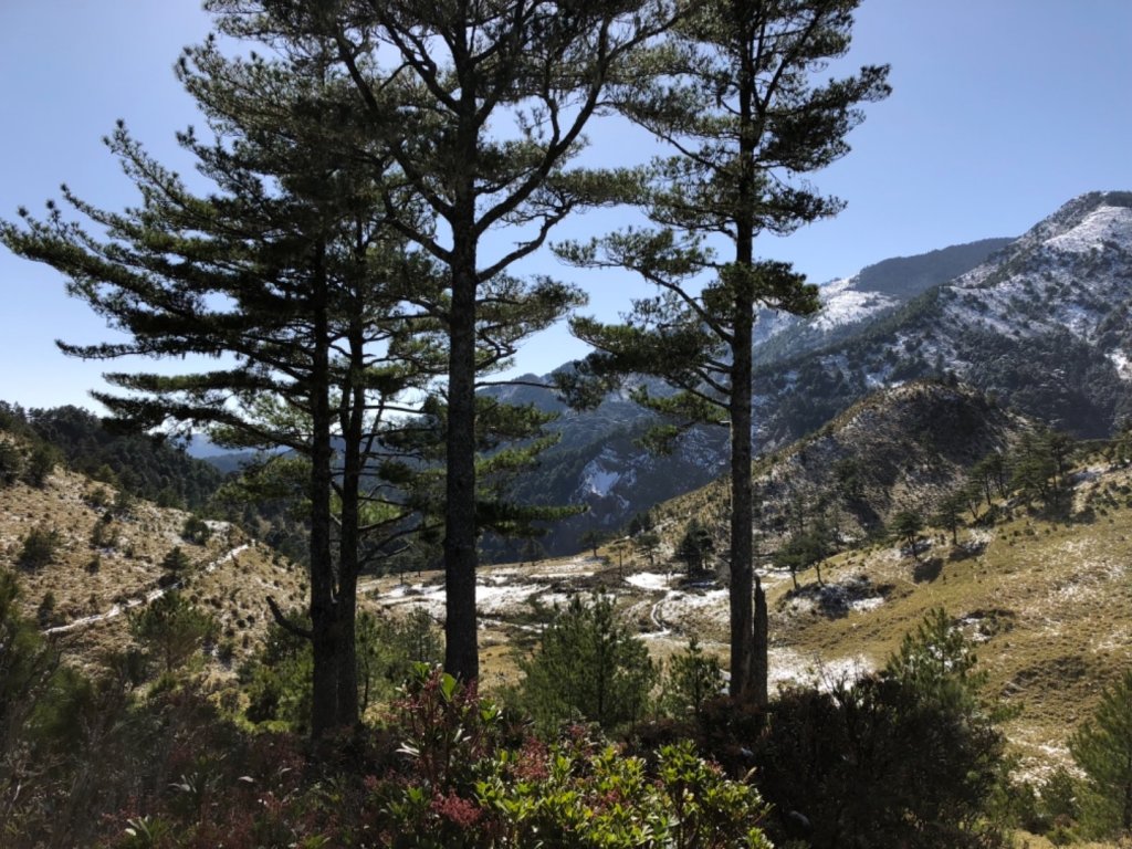 雪季馬博橫斷_553045