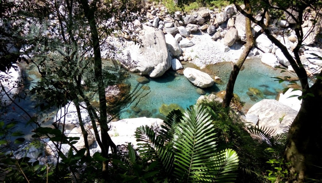 砂卡礑步道2018.11封面圖