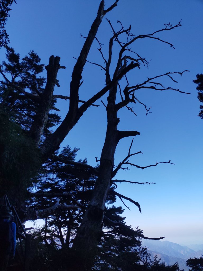 玉山 20220305_1730813