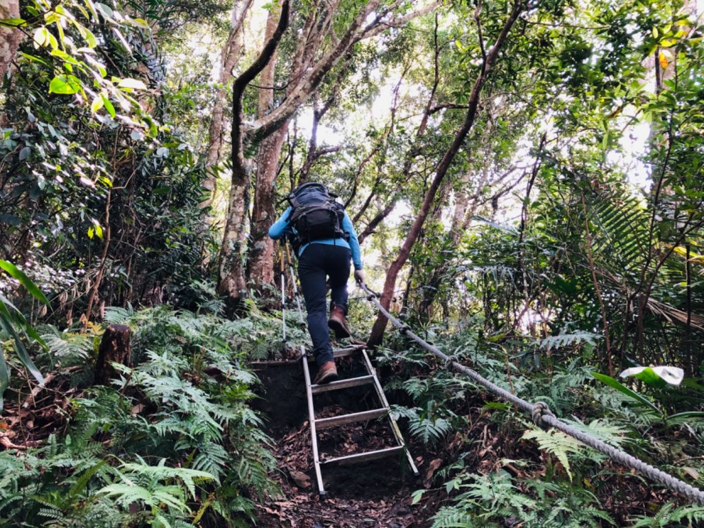 1090307上島山_870974