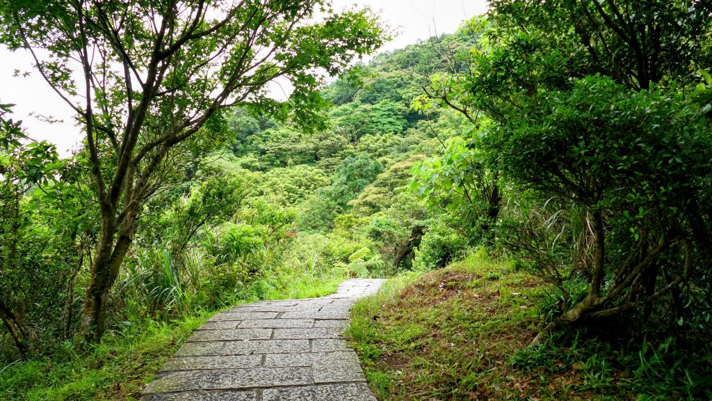 大尖山步道_2833790