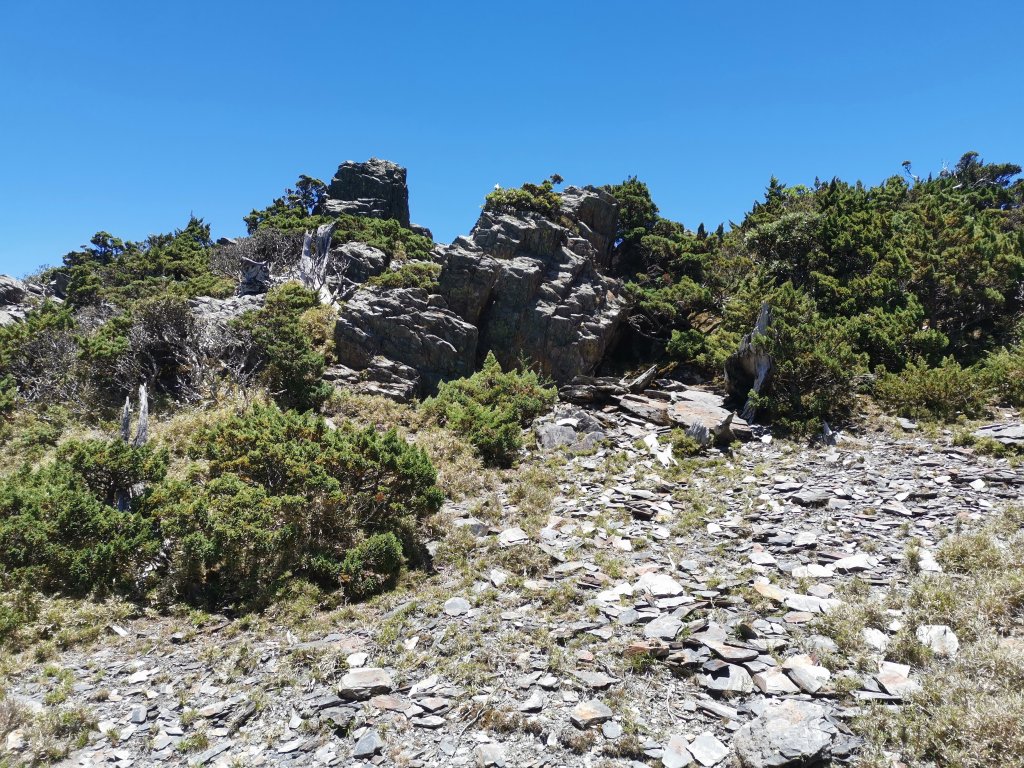 2022-07-21八大秀_1789329