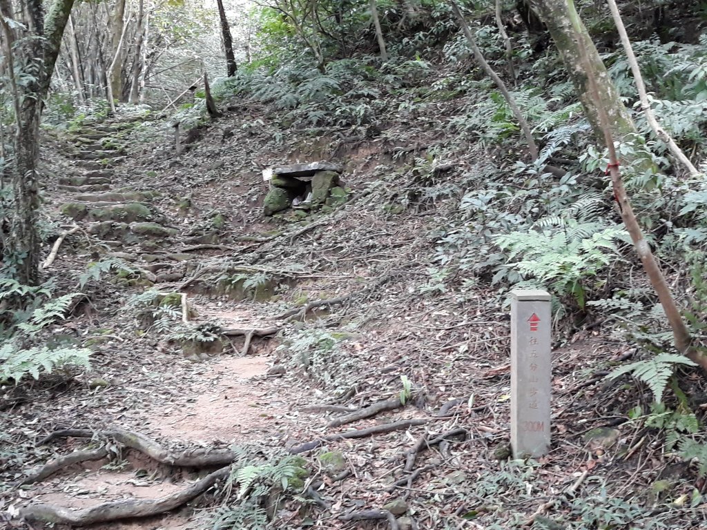 淡蘭古道暖東舊道、荖寮坑古道_427154