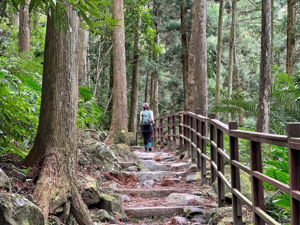 馬武督森林 外鳥嘴山 綠光小學封面圖