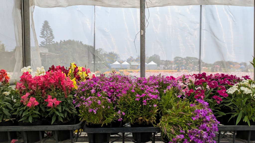 溪海花卉園區_2469943