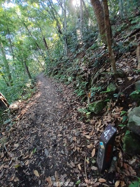 【台中和平】2022「谷關七雄，慢旅台中」登山活動認證。七雄中唯一有瀑布景觀~ 唐麻丹山x蝴蝶谷瀑布_1775937