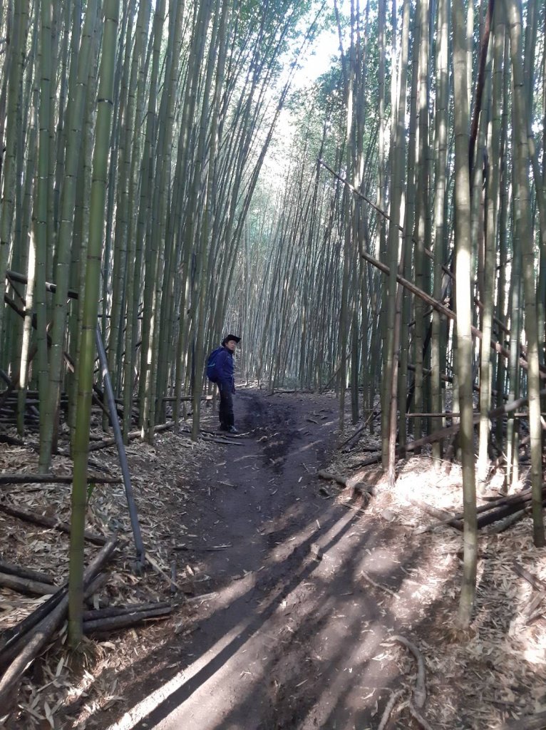 霞喀羅古道_1964444