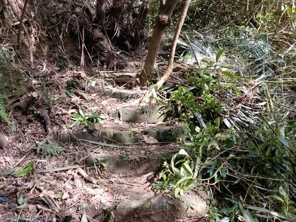 雙溪區大平林山+后番子坑古厝+后番子坑山+武山煤礦事務所+焦炭窯O型_2988608