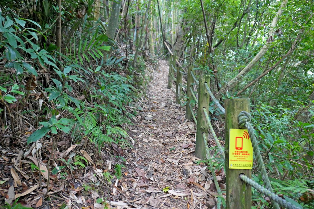 再訪上島山〈鳥嘴山〉 2017/11/25   _212802