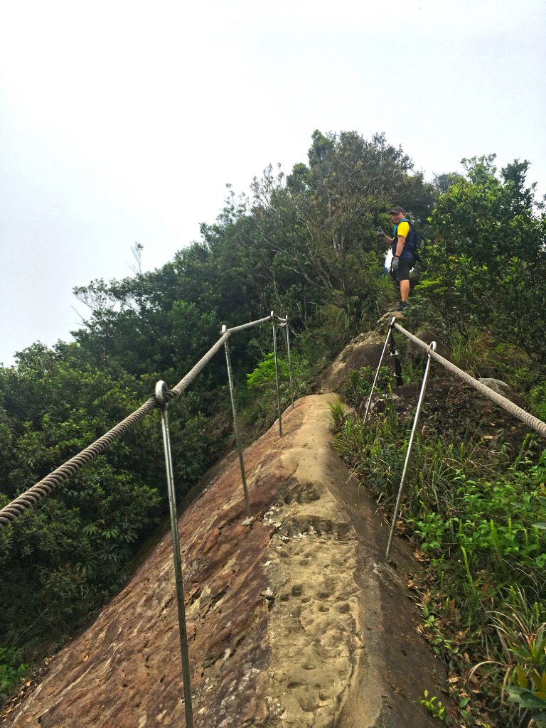 2021-3 皇帝殿東西o型_1317572