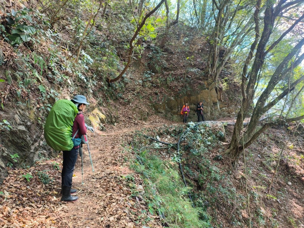 20240316 馬博8天縱走~第一天，東埔登山口到觀高工作站_2470710