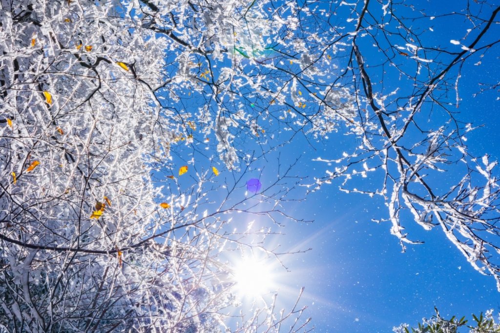 北得拉曼霧淞_1963123