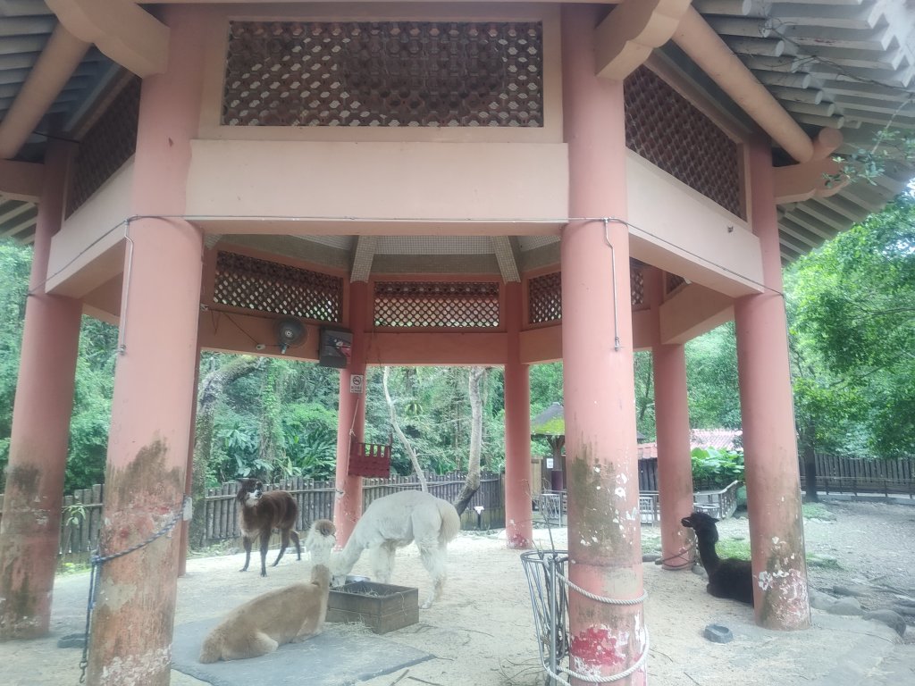 台北動物園_2664065
