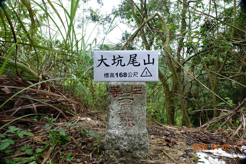 臺南 新化 大坑尾山封面圖