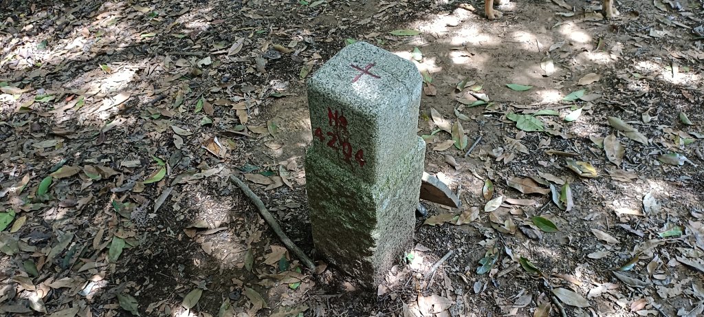 2024/06/30-大克山砲台古道_2539739