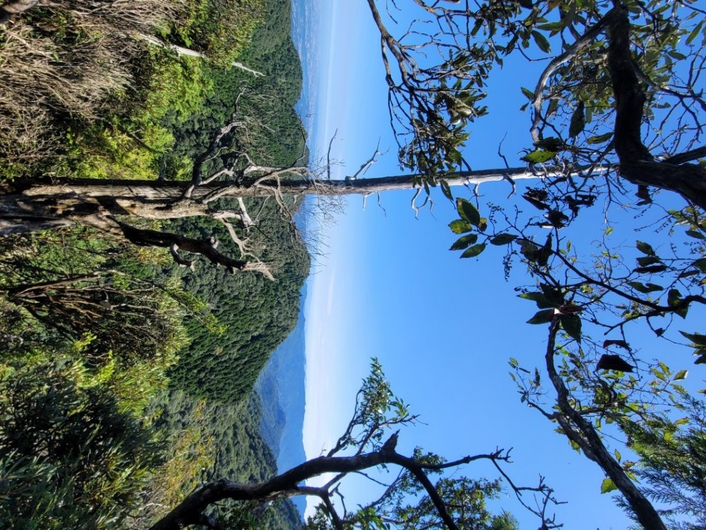 《貴妃那鳥包》O型縱走(貴妃山、那結山、外鳥嘴山、蓮包山)_1853954