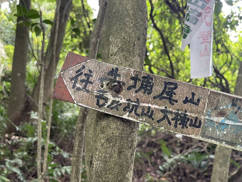 【大棟山系】百年大榕樹_2858112