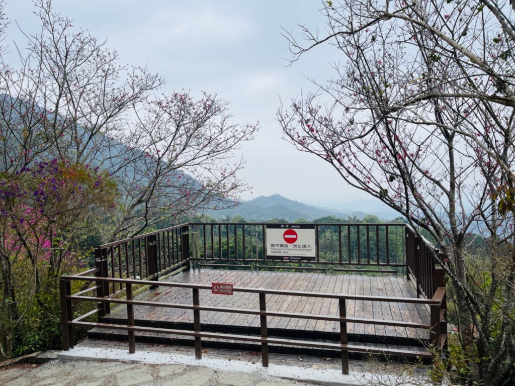 1120226獵鷹尖.一線天｜梅峰-福光山-飯包尖山_2042662