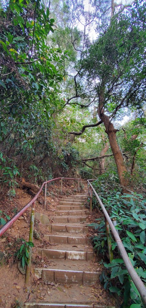 2023-02-19清水岩中央嶺造林步道、十八彎古道_2037798