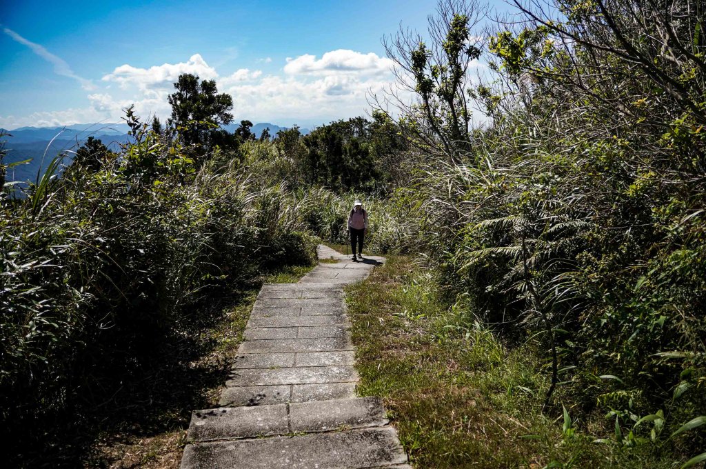 五分山｜小百岳_2915440