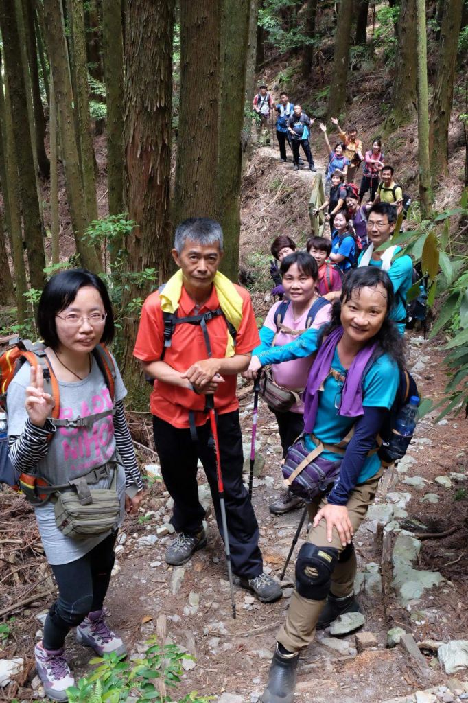 馬崙山~走不完感覺的五星級森林步道_337065