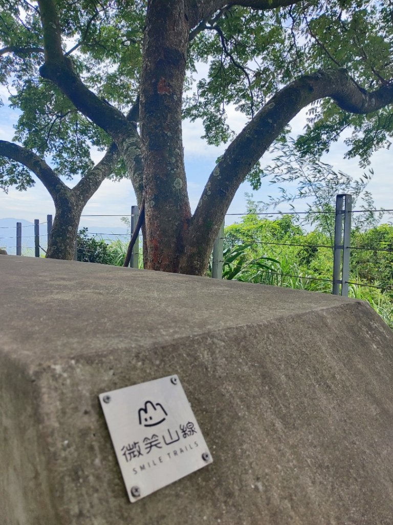 微笑山線大棟山系_2838328