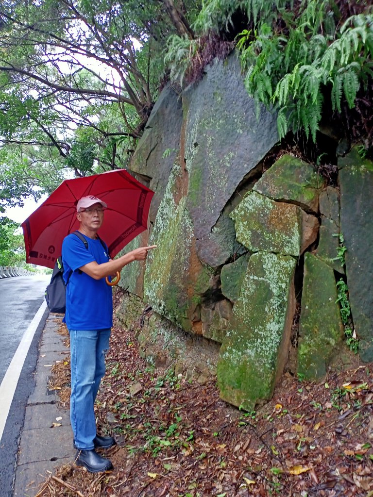 山清水麗的陽明山國家公園 (天母→猴洞→半嶺→湖山→陽峰古道→大屯瀑布→青春嶺→猴崁→竹子湖黑森林)_1835176