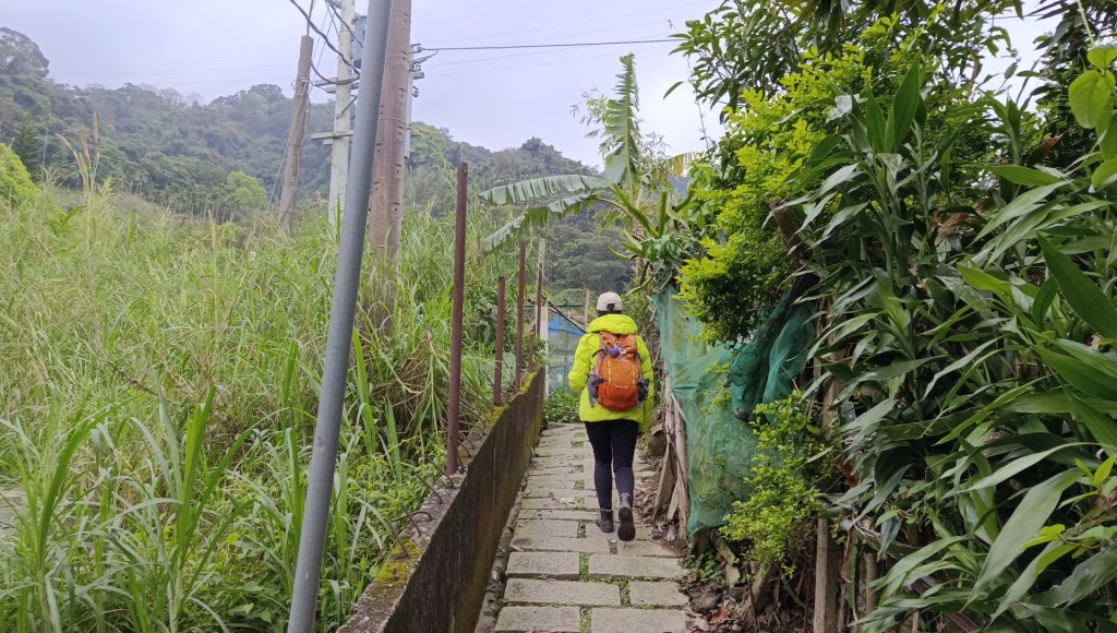 (姨婆趴趴走)第四十七集:新北土城大暖坑山等諸峰攀登連走_2738736