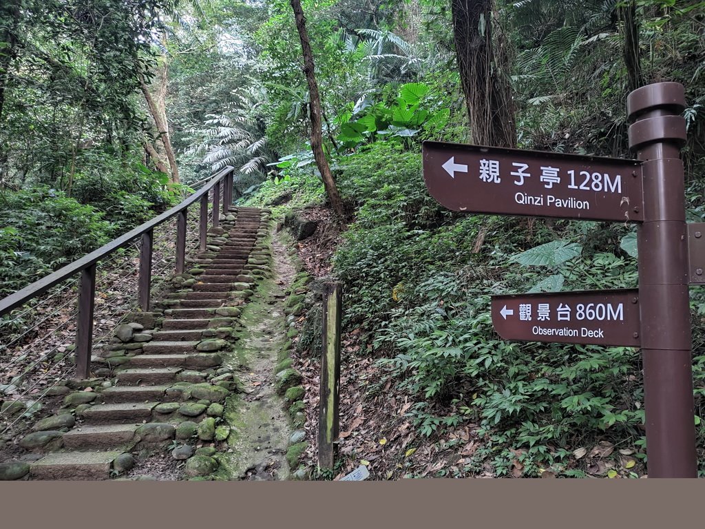【新竹縣峨嵋鄉】藤坪步道_2833244