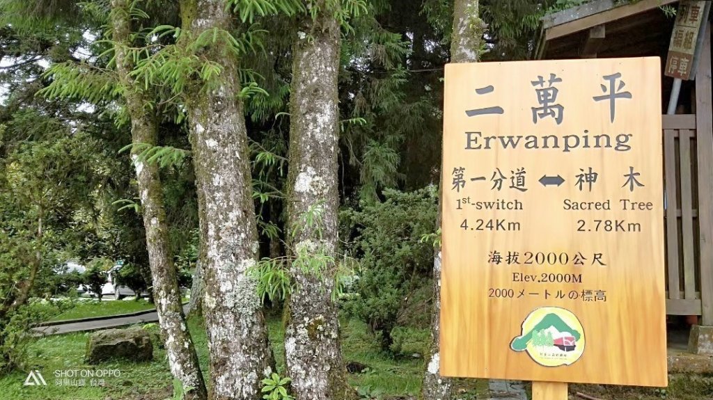 【二萬平車站火車時】2019阿里山私房景封面圖