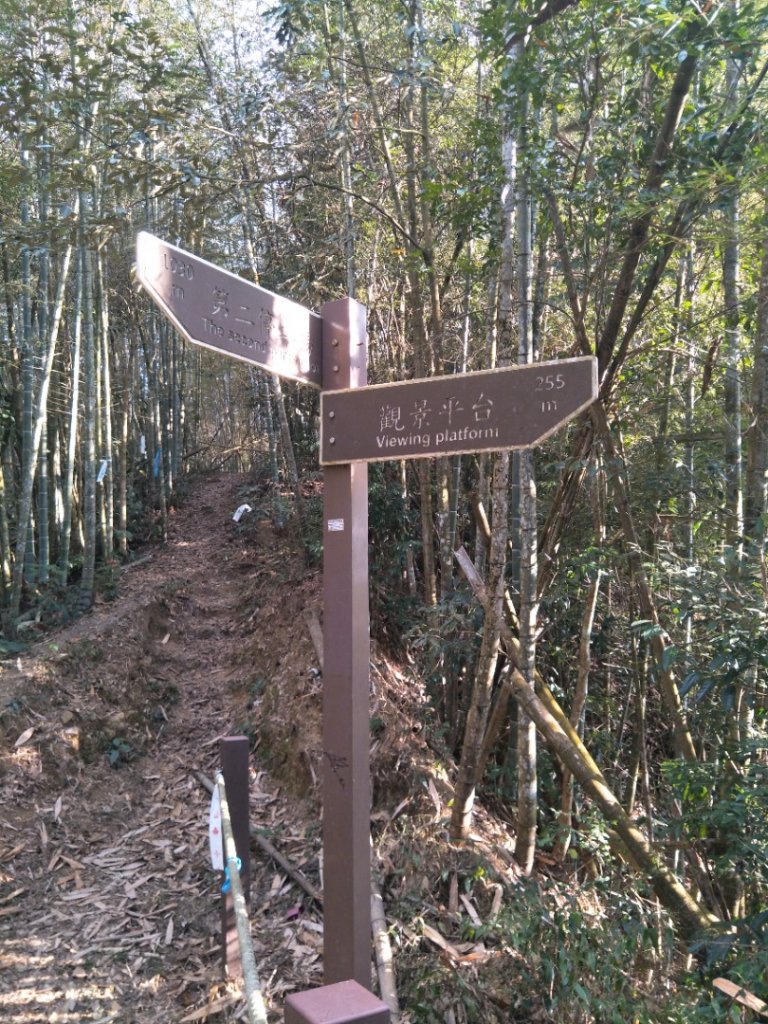 後尖山步道_1995186