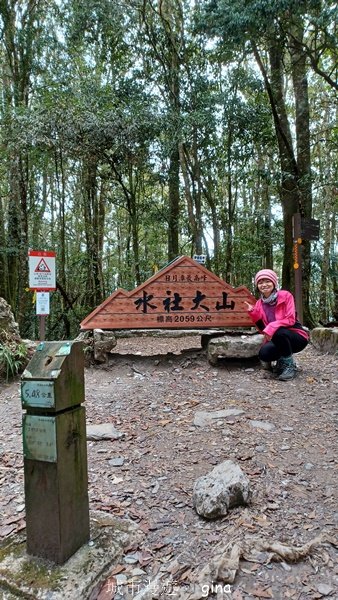 【南投魚池】中部四大名山之山高路遠。 水社大山登山步道_2037968