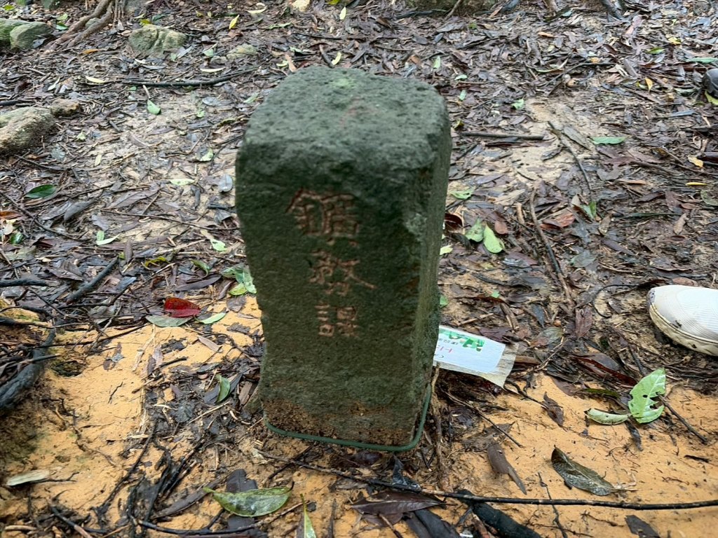 新北 汐止 柯子林橋-柯子林天然泳池-友蚋山南峰-友蚋山-新山-夢湖-柯子林橋_2988380